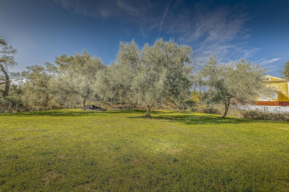 Photo of Outdoor in Kavos