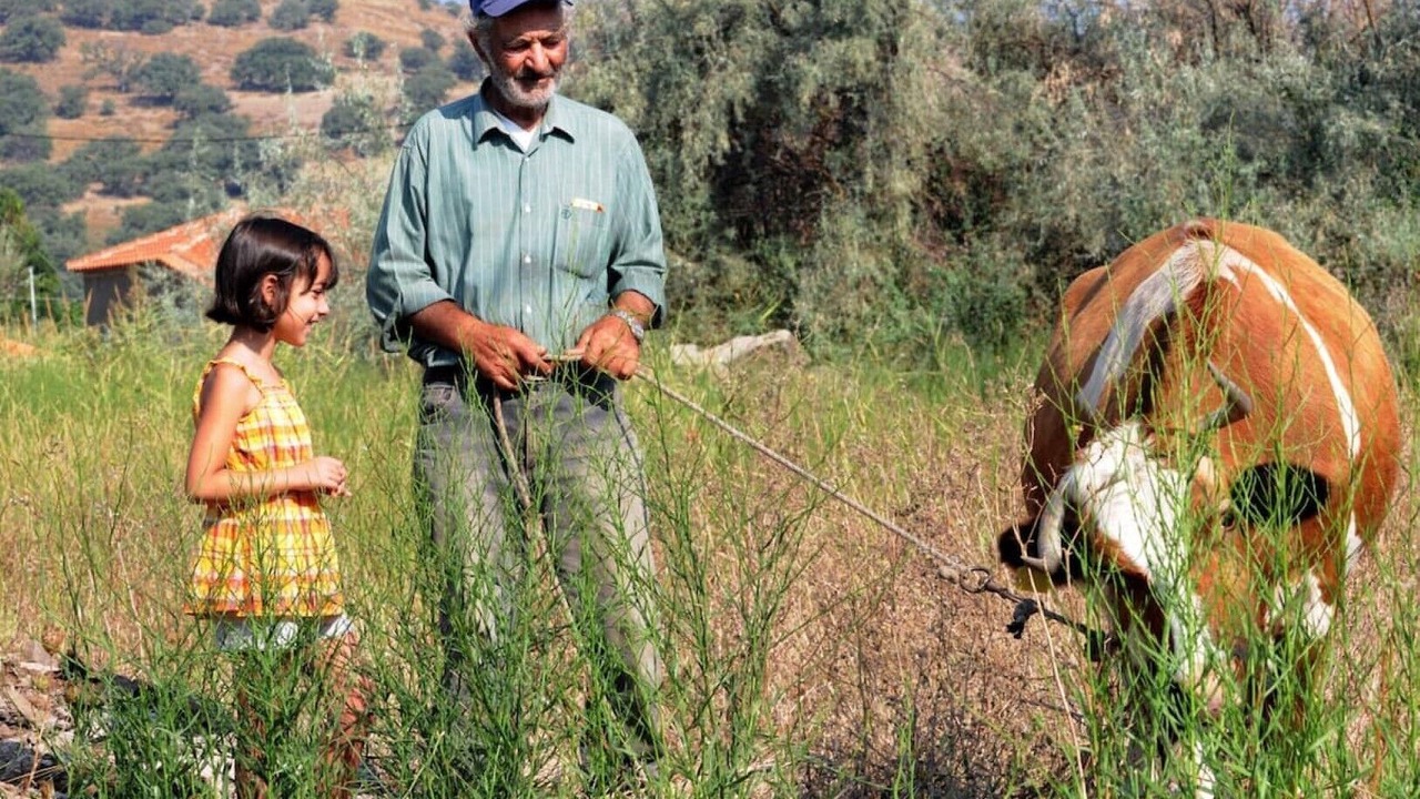 Photo of Outdoor in Eresos-Antissa