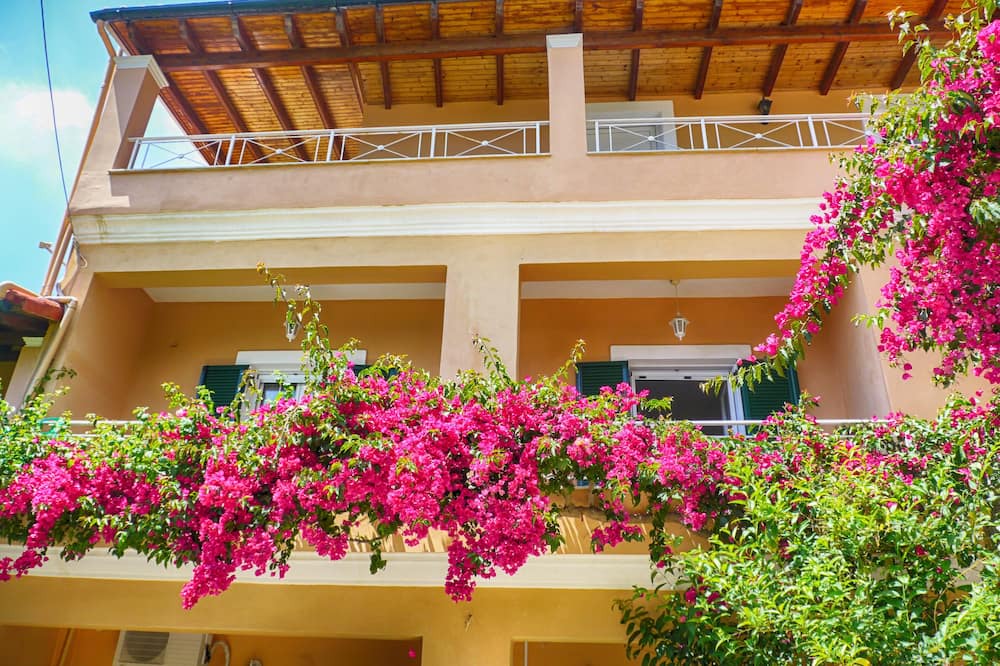 Photo of Outdoor in Pelekas