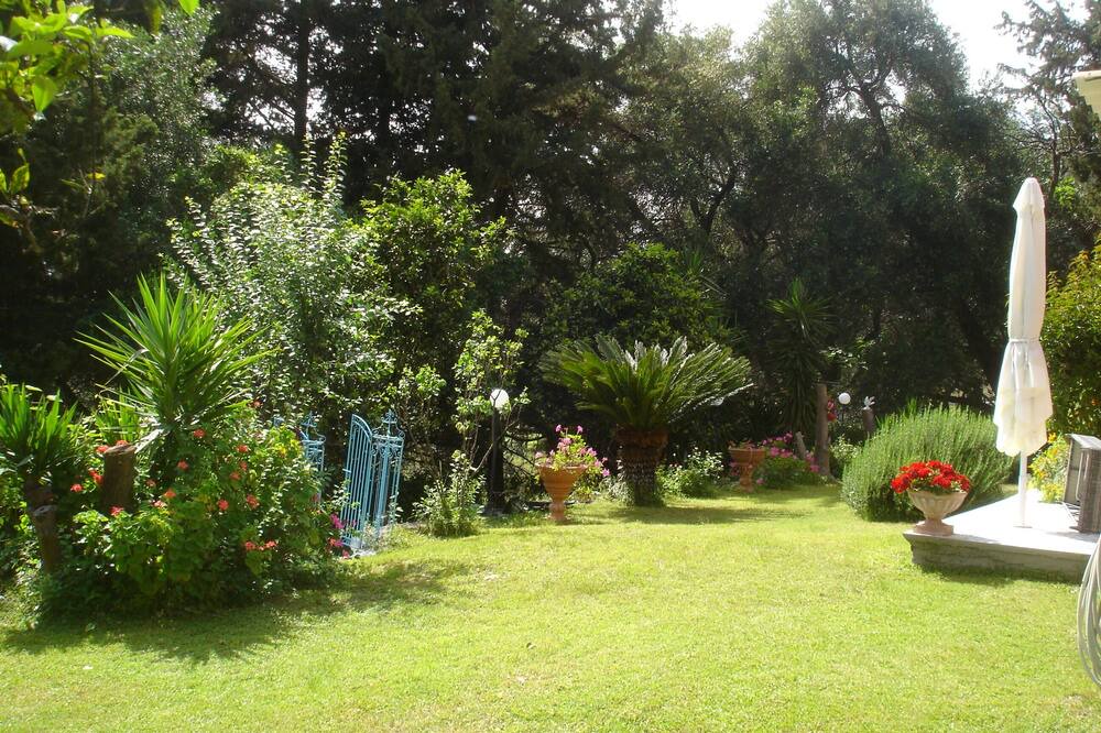 Photo of Outdoor in Skala