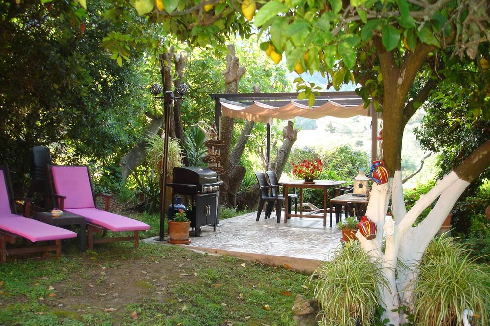Photo of Outdoor in Skala