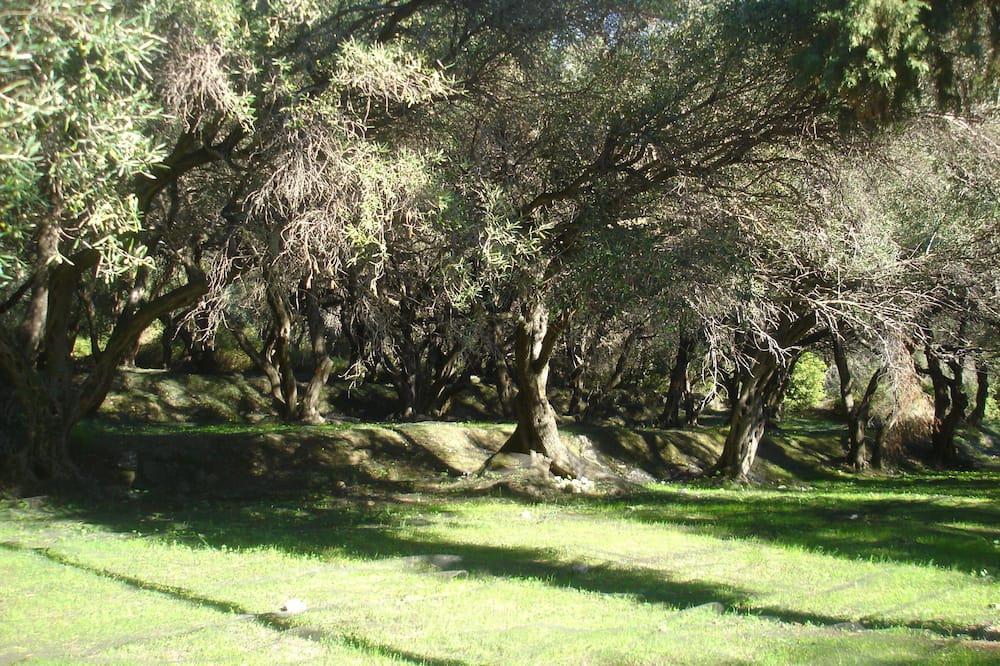 Photo of Outdoor in Skala