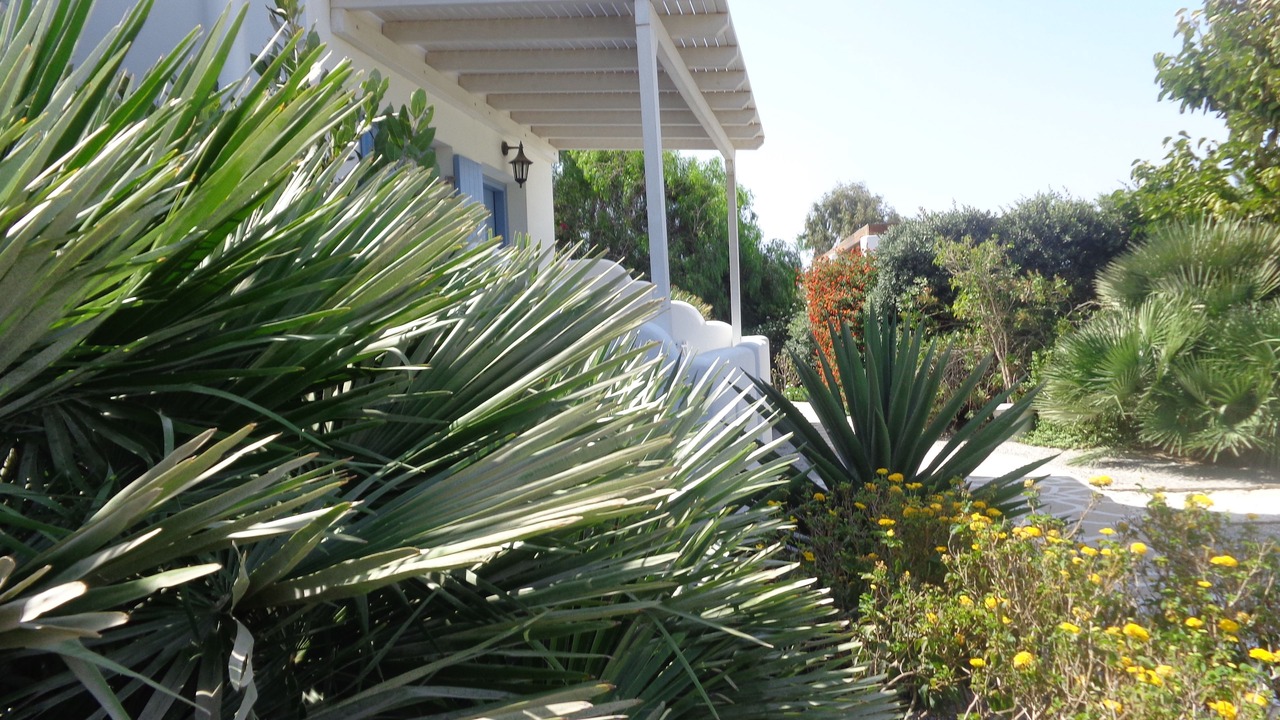 Photo of Outdoor in Maragas