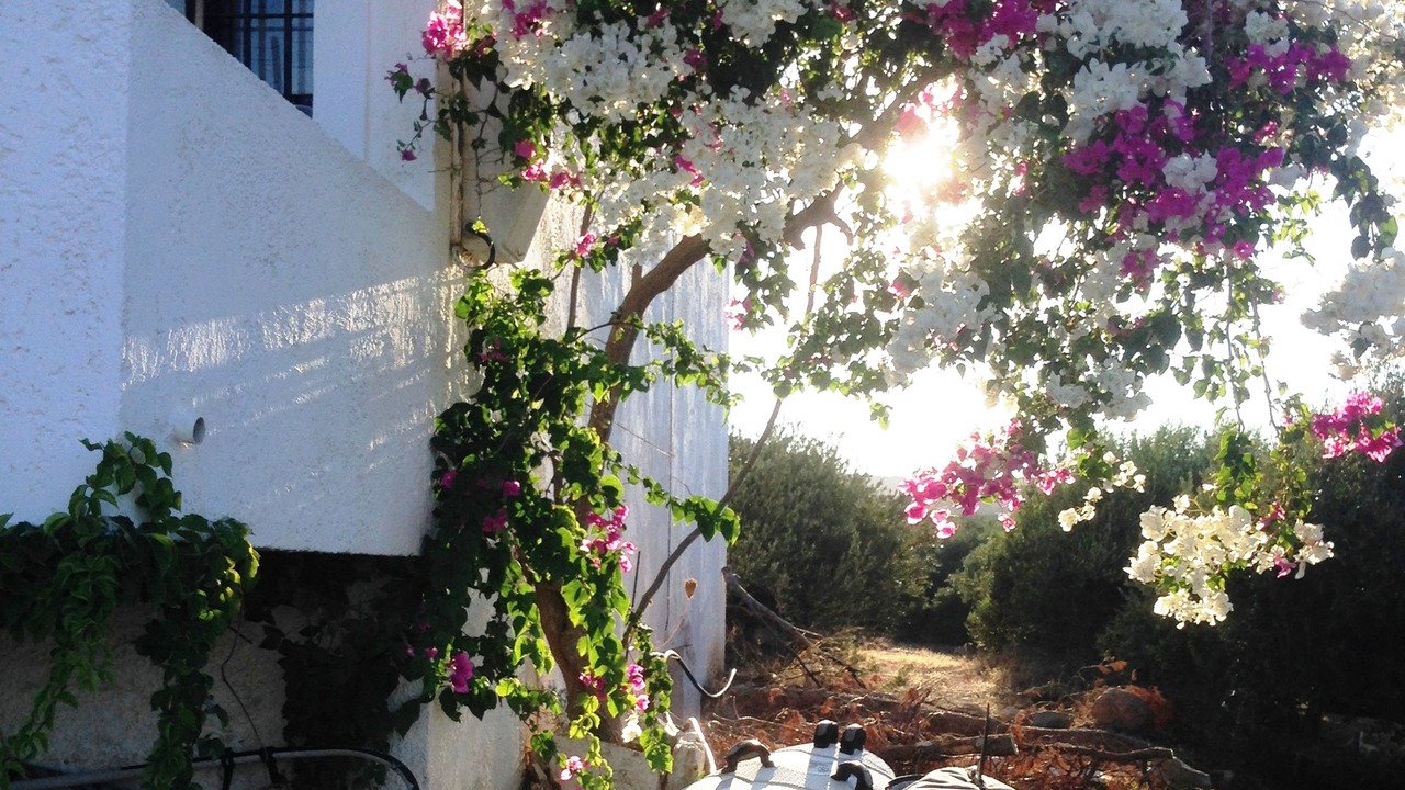 Photo of Outdoor in Vigla