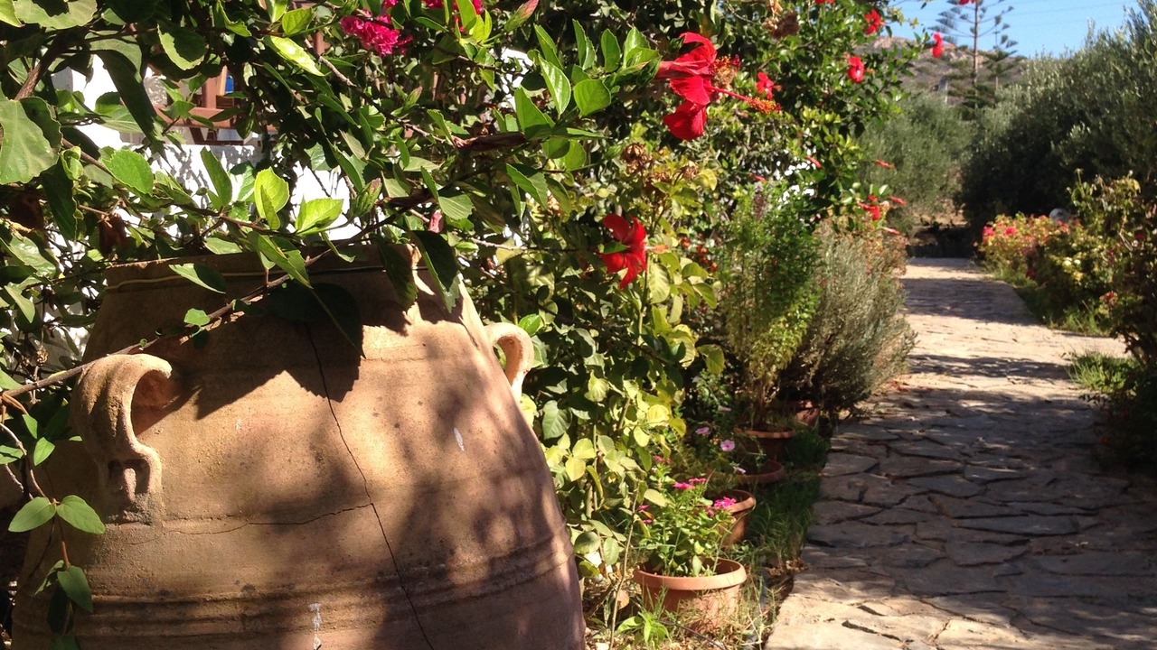 Photo of Outdoor in Vigla