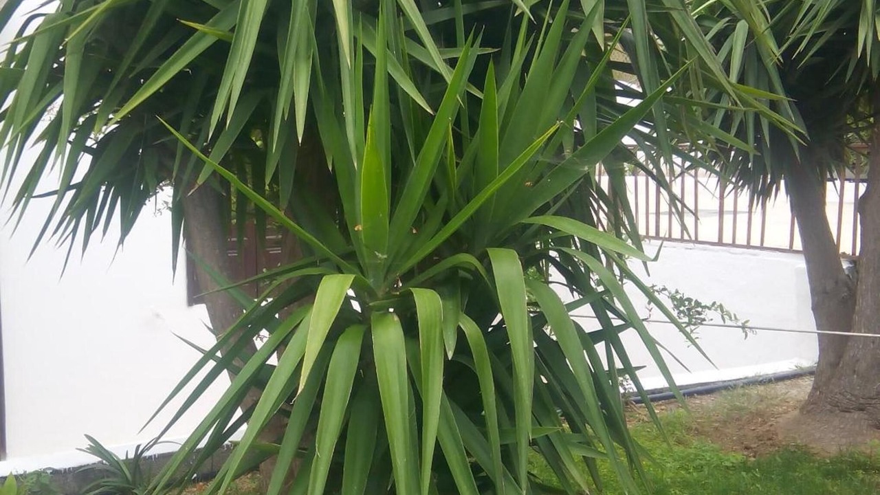 Photo of Outdoor in Koutouloufari