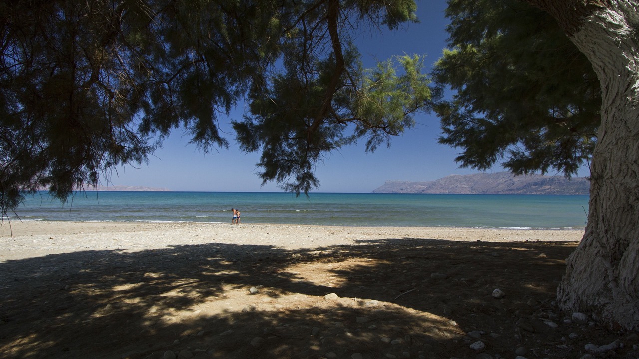 Photo of Others in Korfalonas