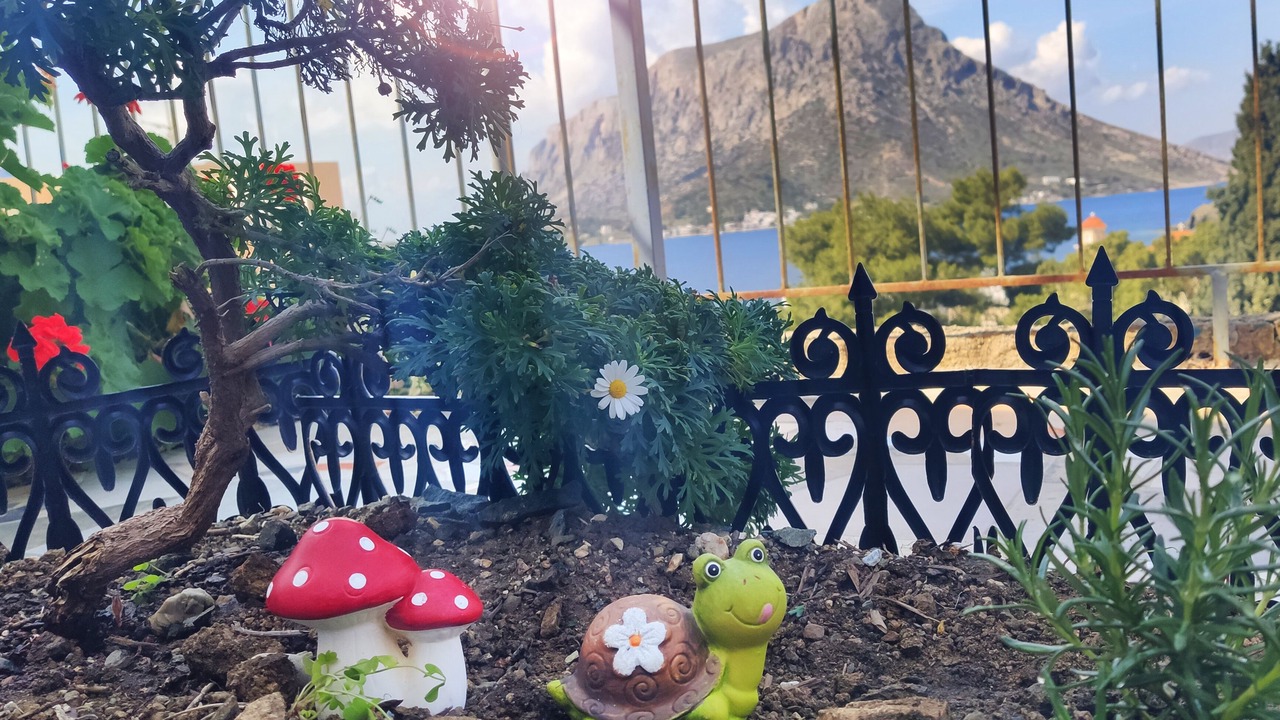 Photo of Outdoor in Mirties