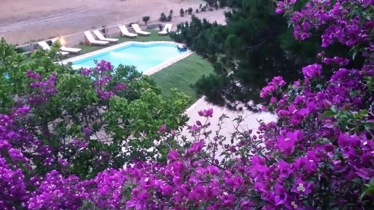 Photo of Outdoor in Almiros Beach