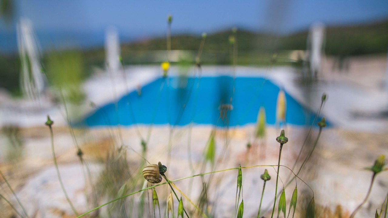 Photo of Outdoor in Nea Tirintha