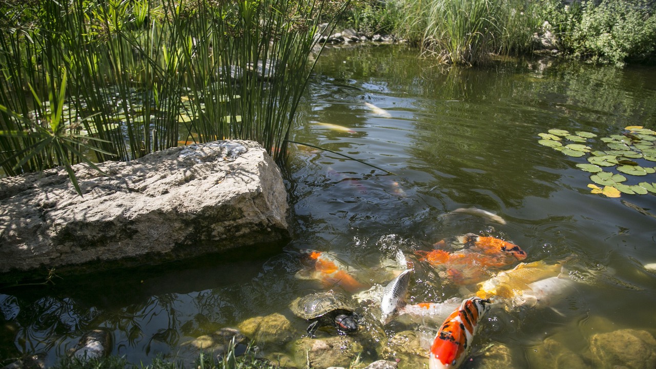 Photo of Outdoor in Afytos