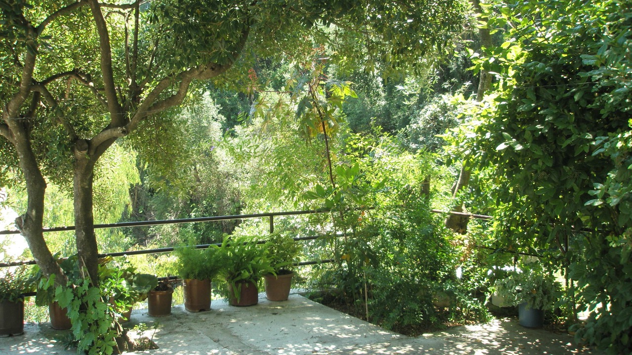 Photo of Outdoor in Dafnata