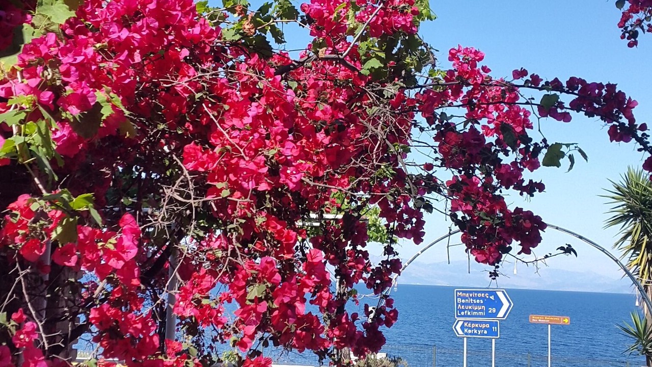 Photo of Outdoor in Dafnata