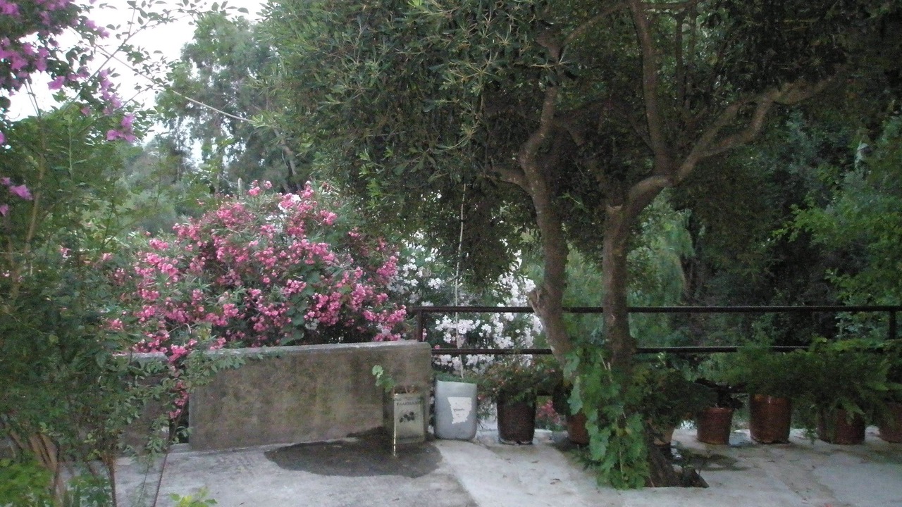 Photo of Outdoor in Dafnata