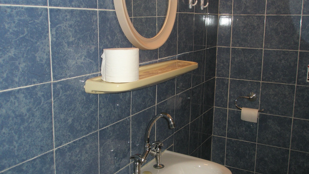 Photo of Bathroom in Dafnata