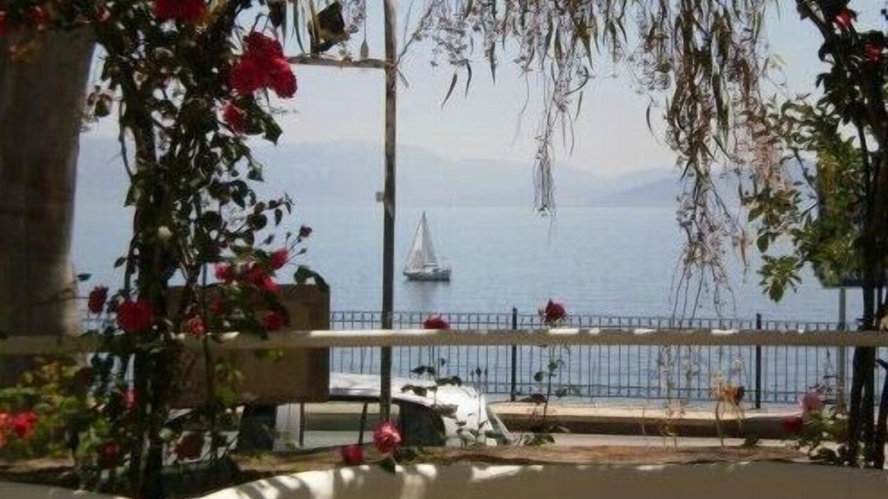 Photo of Others in Dafnata