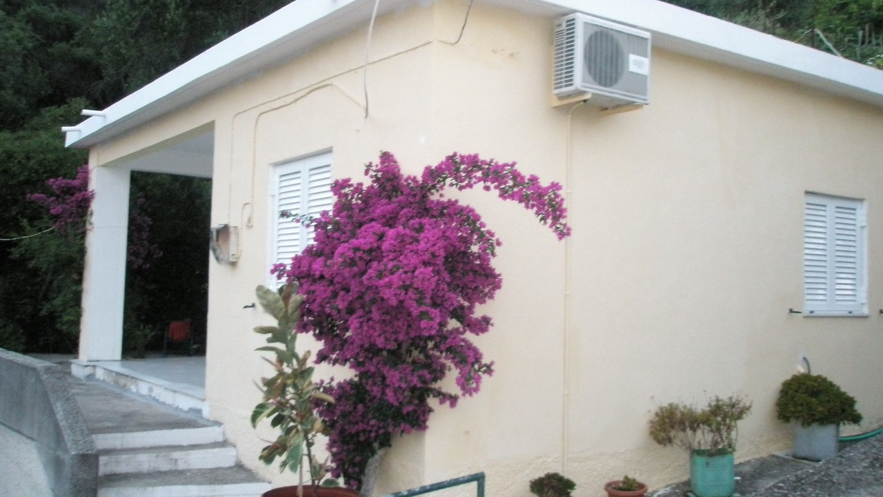 Photo of Outdoor in Dafnata