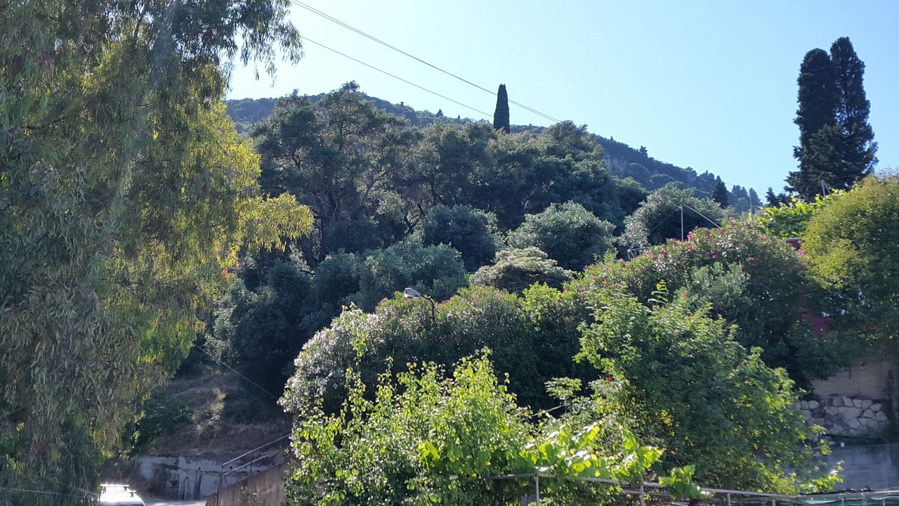 Photo of Others in Dafnata