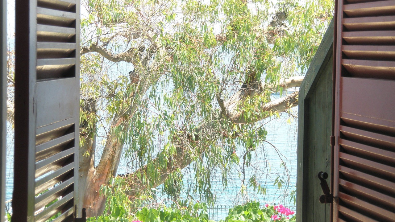 Photo of Patio Balcony in Dafnata
