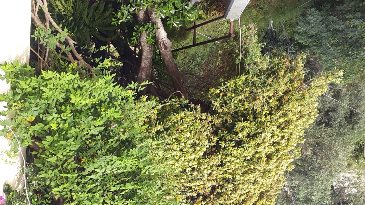 Photo of Outdoor in Dafnata