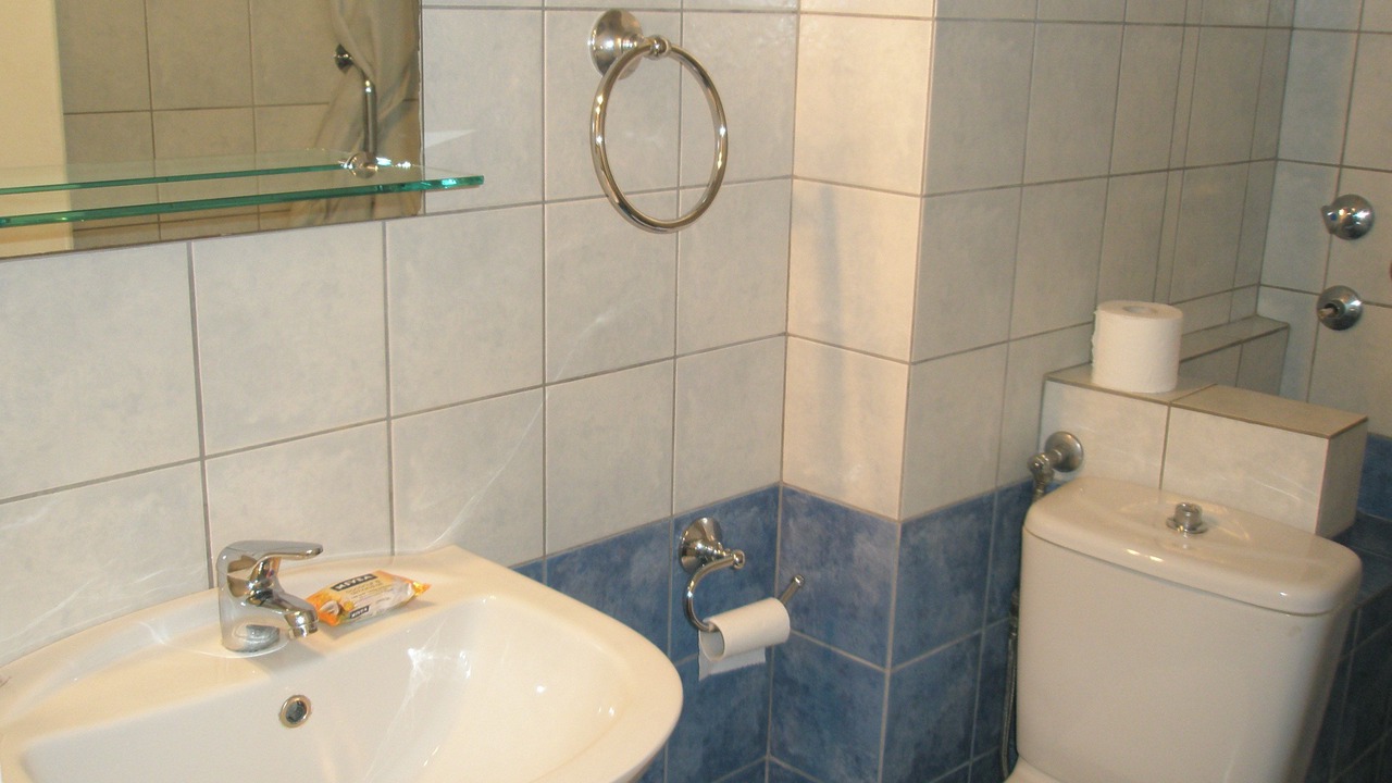 Photo of Bathroom in Dafnata