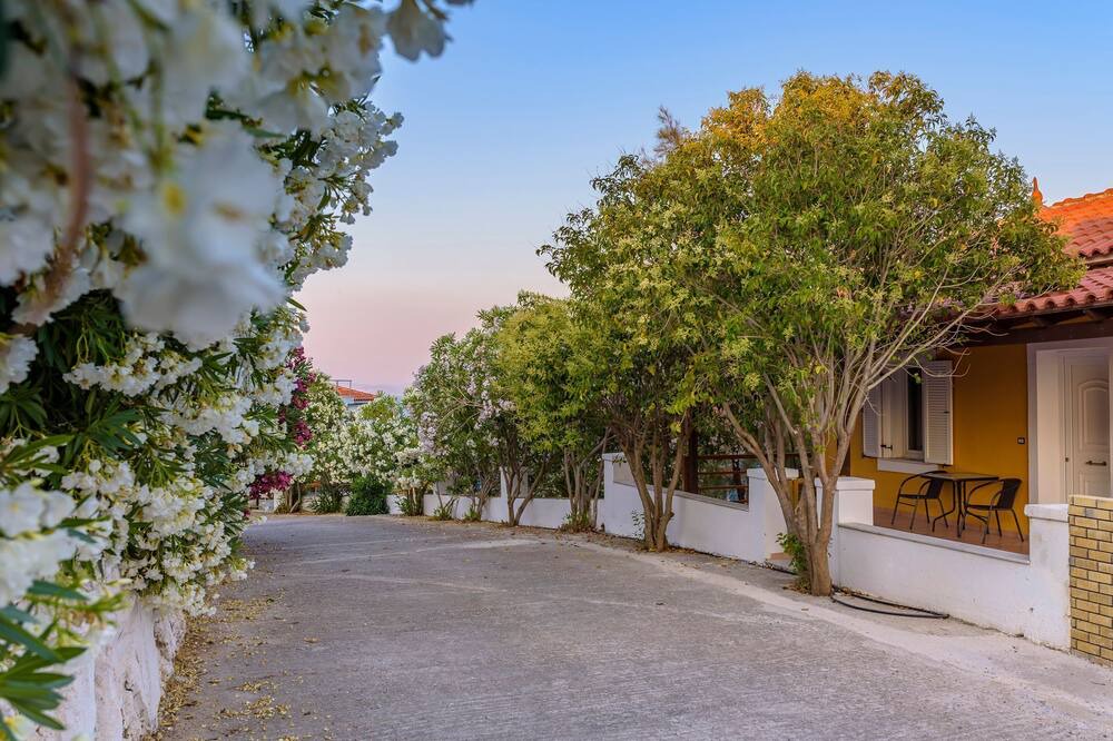 Photo of Outdoor in Lavreotiki