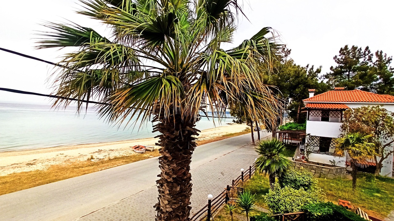 Photo of Outdoor in Nikita