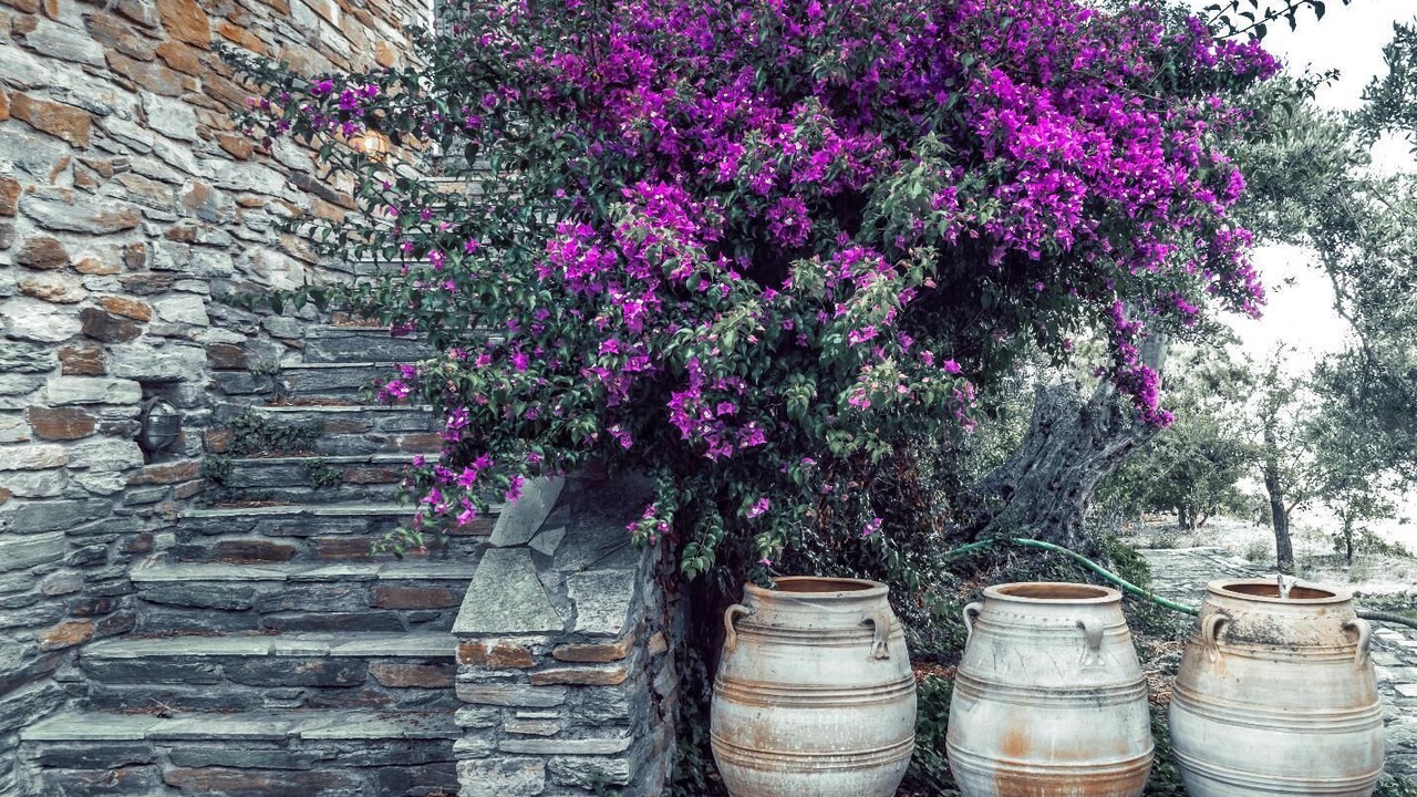Photo of Outdoor in Apikia