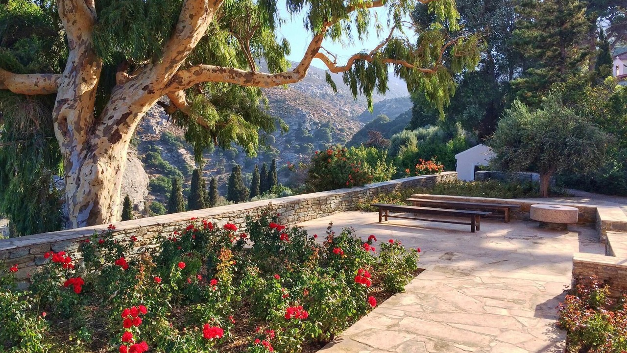 Photo of Outdoor in Apikia