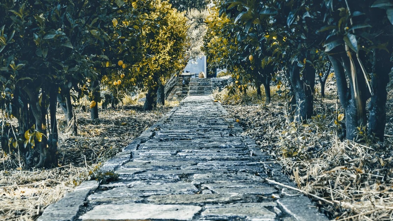 Photo of Outdoor in Apikia