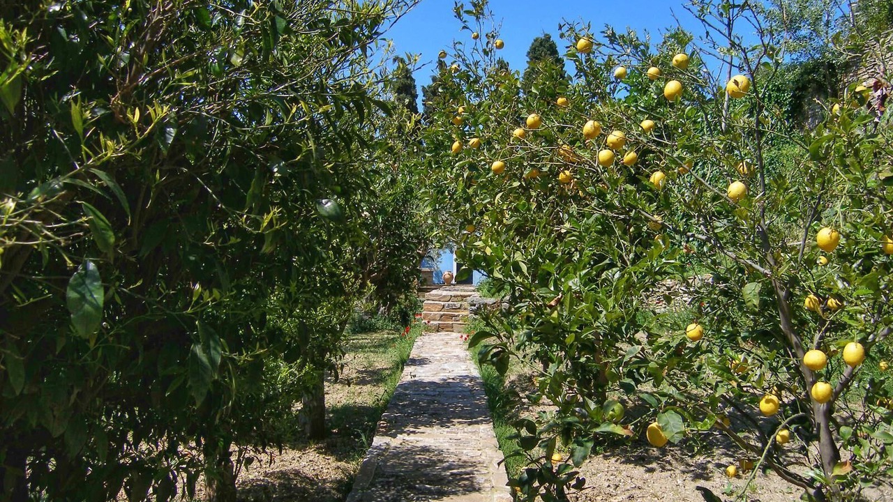 Photo of Outdoor in Apikia