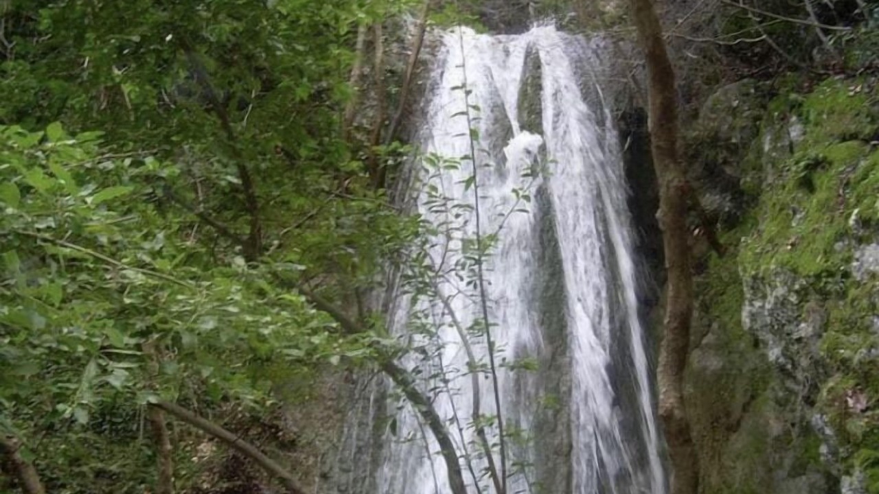 Photo of Others in Karlovassi