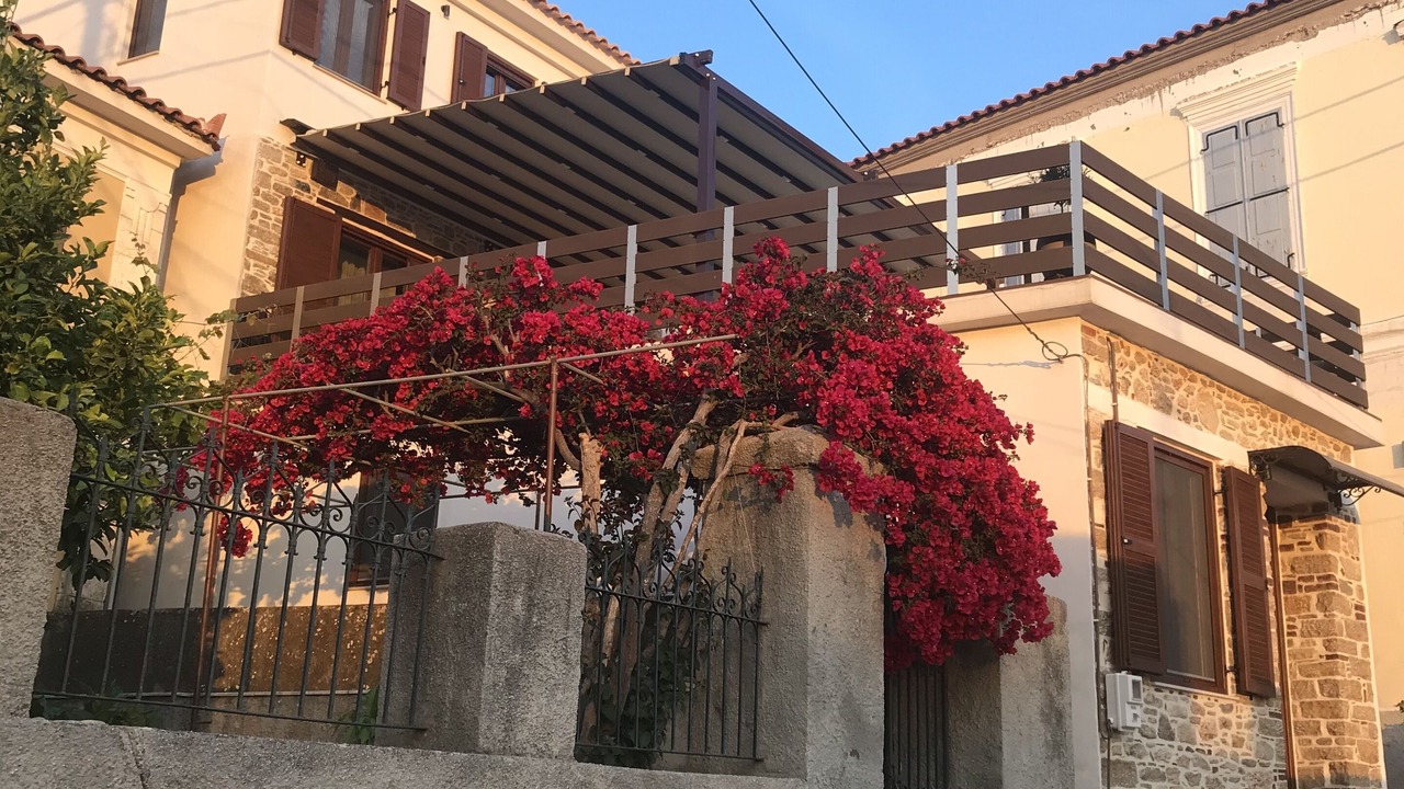 Photo of Outdoor in Karlovassi