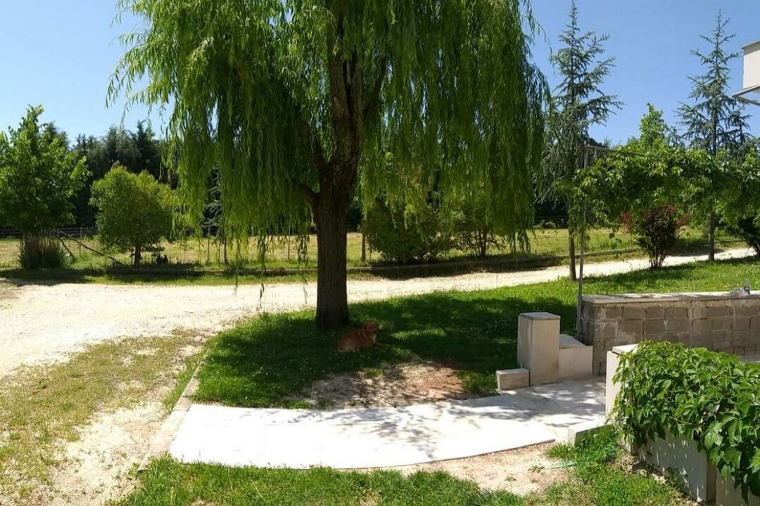 Photo of Outdoor in Ioannina