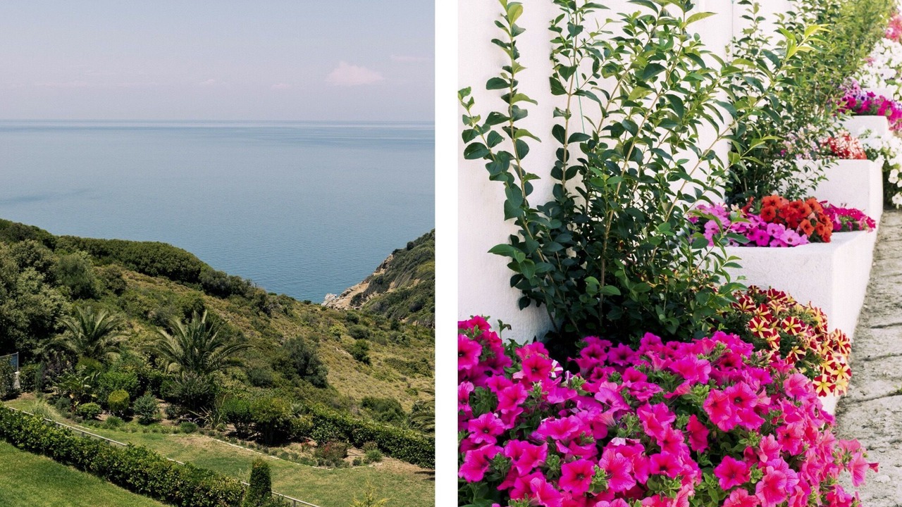 Photo of Outdoor in Skiathos