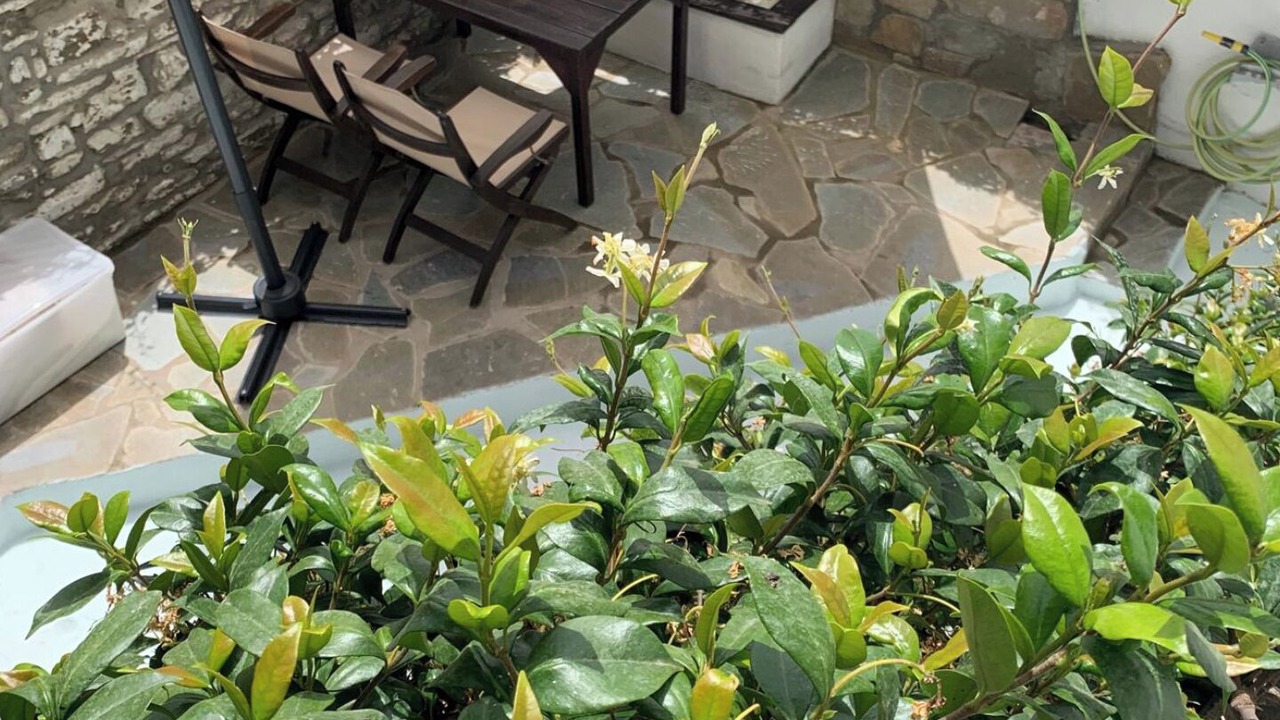 Photo of Outdoor in Agios Nikolaos