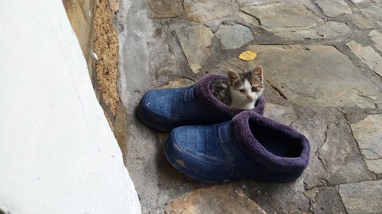 Photo of Others in Agios Nikolaos