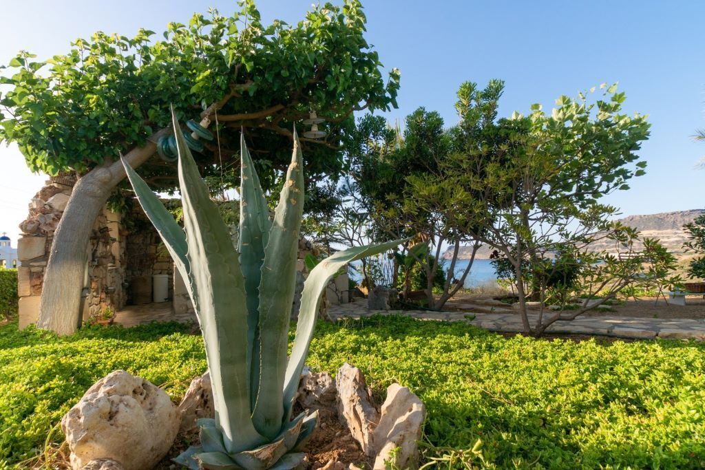 Photo of Outdoor in Vigla
