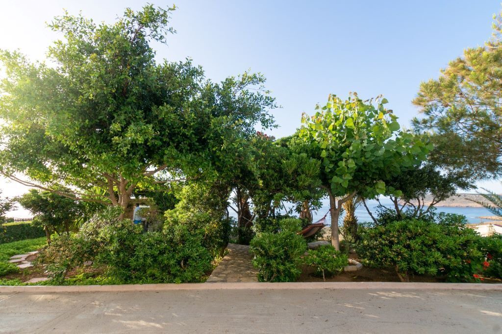 Photo of Outdoor in Vigla