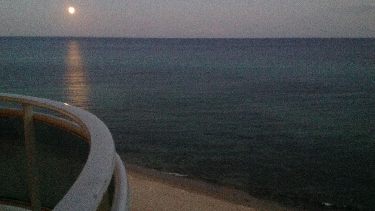 Photo of Others in Eastern Hammamet