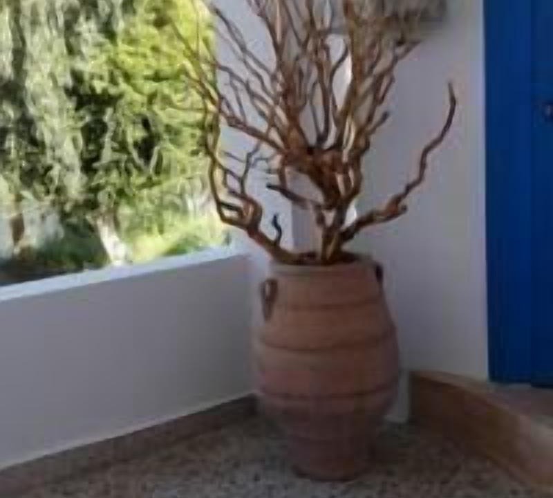 Photo of Outdoor in Megalo Chorio