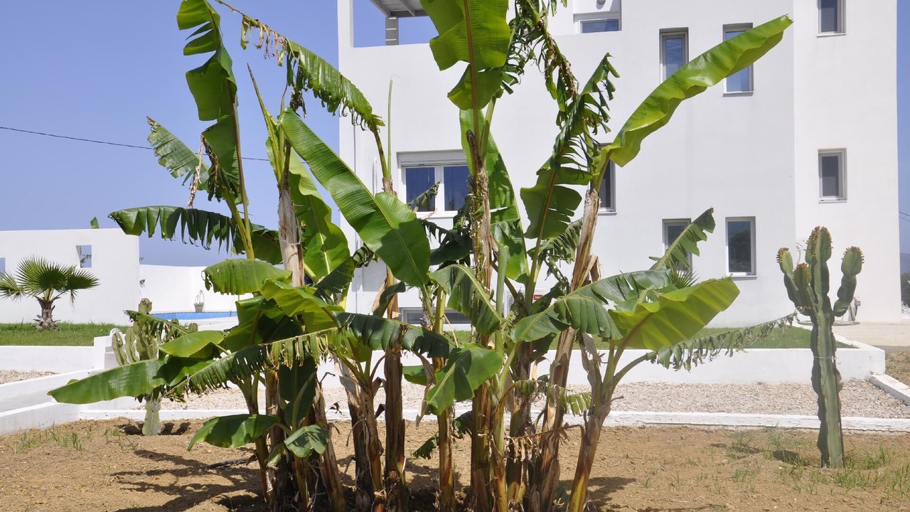 Photo of Outdoor in Zipari