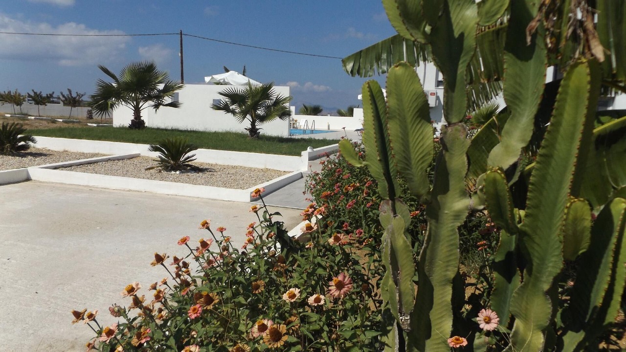Photo of Outdoor in Zipari