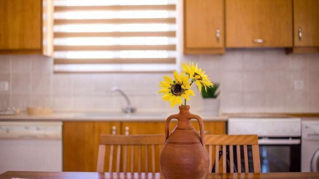 Photo of Kitchen in Kalathos