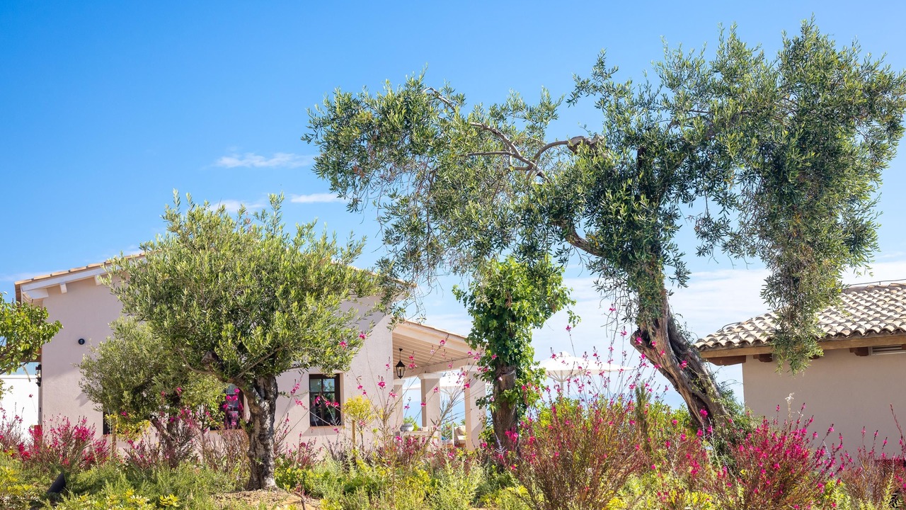 Photo of Outdoor in Dafnata
