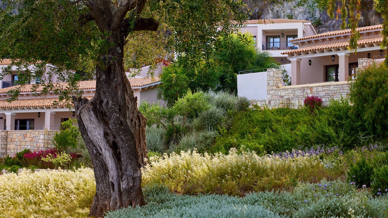 Photo of Outdoor in Dafnata