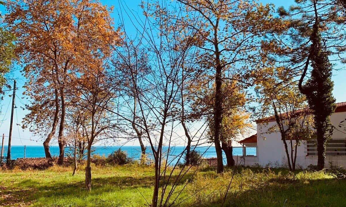 Photo of Outdoor in Limin Litochorou
