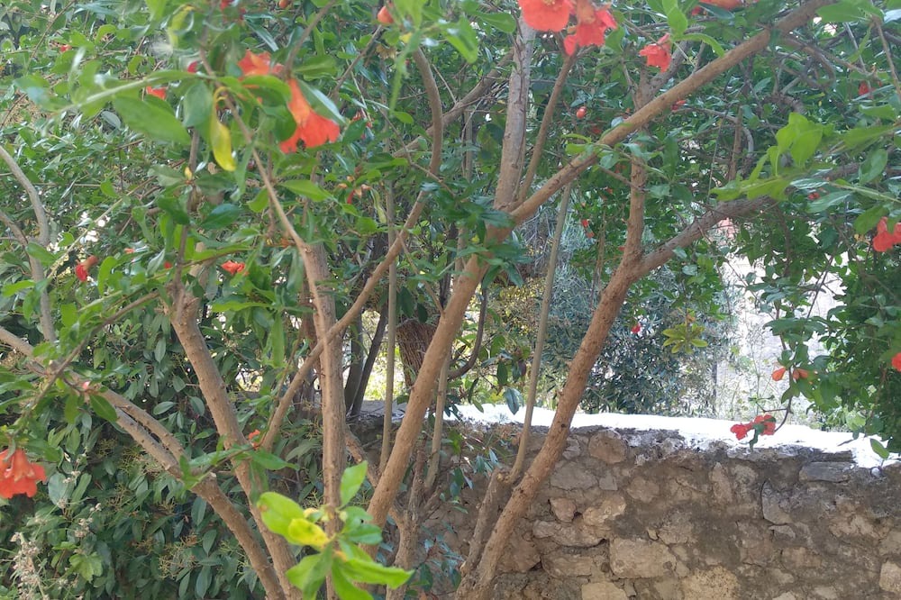 Photo of Outdoor in Kiparissia