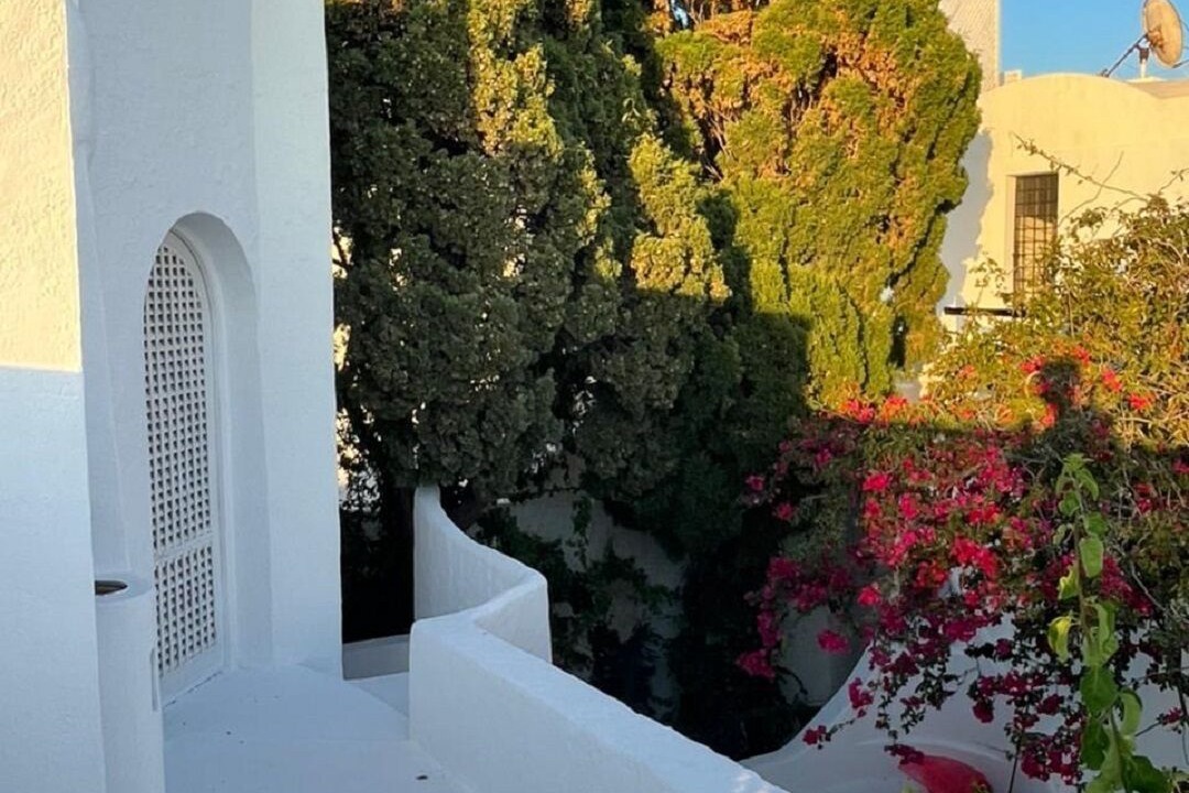 Photo of Outdoor in Medina