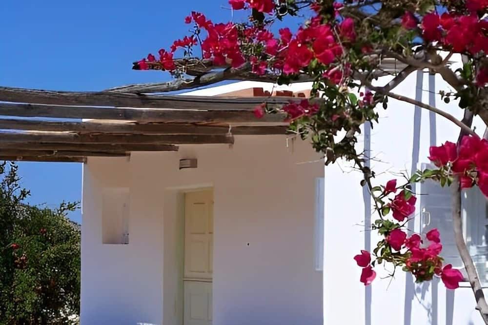 Photo of Others in Milopotas